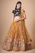 Gold Color Exquisite Soft Net Embellished Lehenga Choli For Festive Fervor