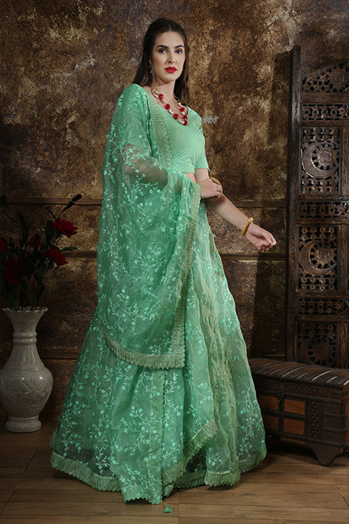 Mint Green Organza Thread Embroidered Work Lehenga Choli