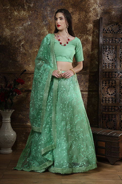 Mint Green Organza Thread Embroidered Work Lehenga Choli
