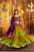 Multi Color Vibrant Chaniya Choli for Garba Night