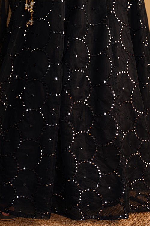 Black Organza Embroidered Party Wear Lehenga Choli