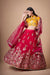 Rani Soft Net Sequins Embroidered Lehenga Choli Ensemble